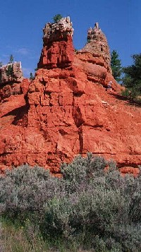 Sedona's famous red rocks