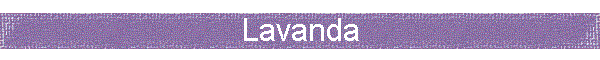 Lavanda