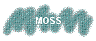 MOSS