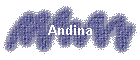Andina
