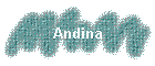 Andina
