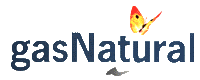 G�s Natural Veicular