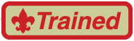 trained patch