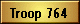 Troop 764 Home Page