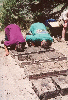 face plants