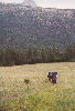 Lover's Leap Meadow