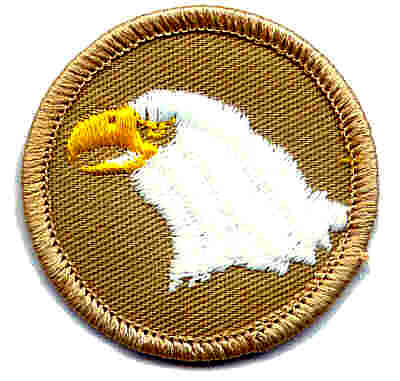 Eagle Patrol: Ben B, Will B, John C, Zackery E, Tallon H, Jonathan H, Kristian J, Anthony K, Hudson K, Kyle L, Rueben M, William W