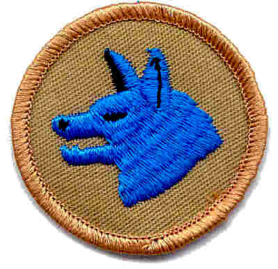 Blue Wolf Patrol: Martin C, John D, Tyler D, Sam L, Trent M, Derek R, Kevin R, Wyatt S