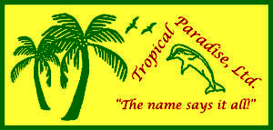 Tropical Paradise