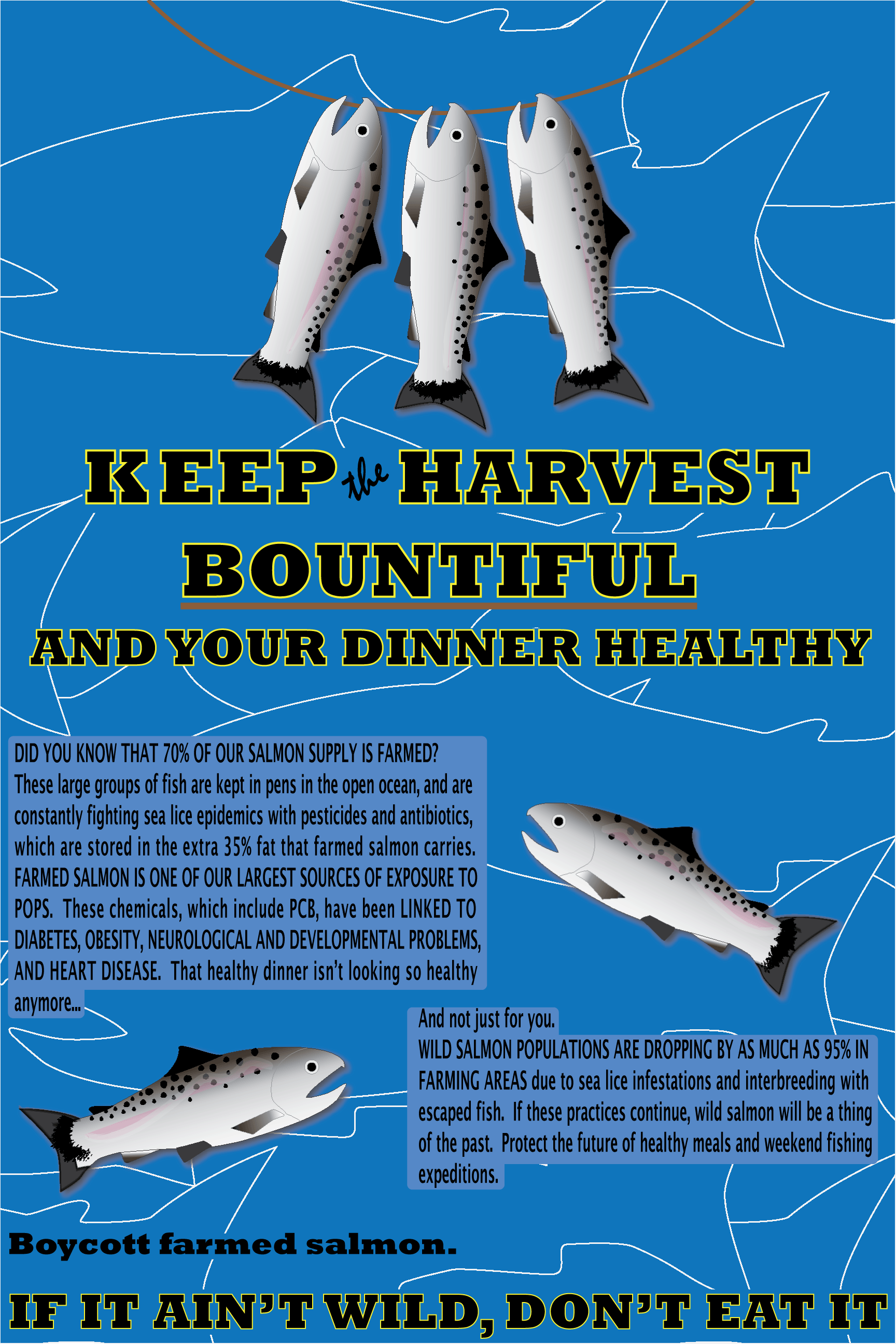 Infographic about farmed salmon
