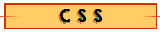 C S S
