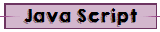 Java Script