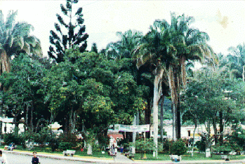 parque central del municipio