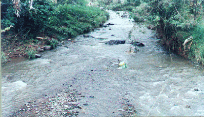 Rio culebras