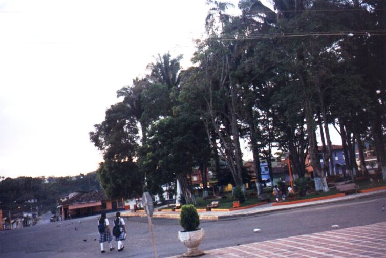 Parue central