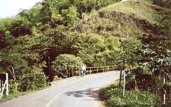 Via Municipal