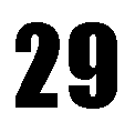 Text Box: 29