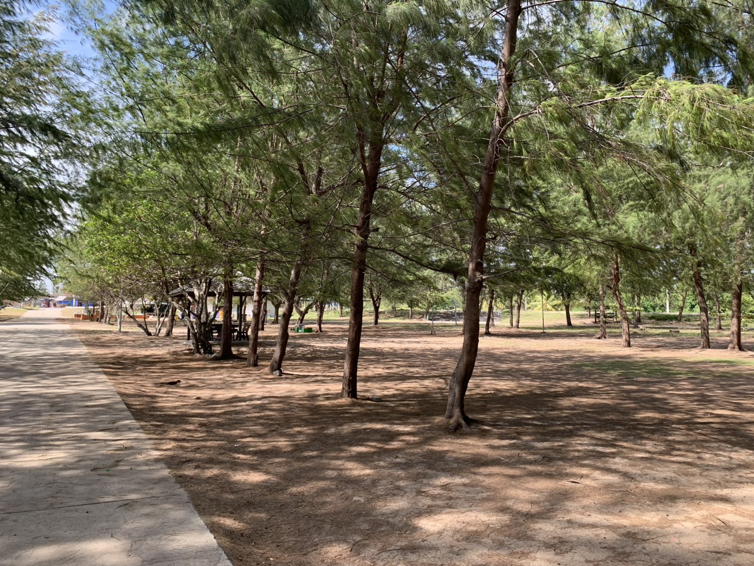 หาดบ่ออิฐ