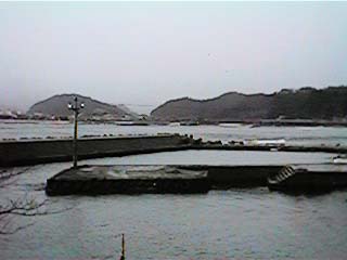 kasumiport2.jpg (15947 �o�C�g)