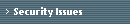 Security Issues