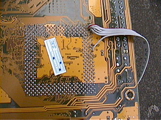 Socket area from the bottom