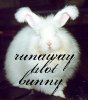 plotbunny