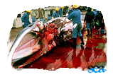 Sea Shepherd
