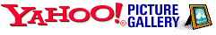 Encontre a imagem que voc� precisa