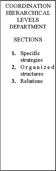 Text Box: COORDINATIONHIERARCHICAL LEVELSDEPARTMENTSECTIONS1.	Specific	strategies2.	Organized structures3.	Relations