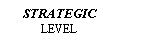 Text Box: STRATEGICLEVEL