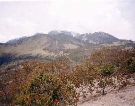 lawu