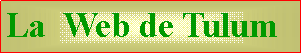 Cuadro de texto: La  Web de Tulum