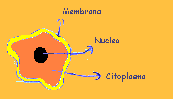 gripe10.gif (3882 bytes)