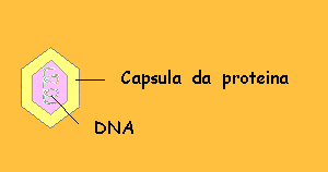 gripe8.gif (2309 bytes)