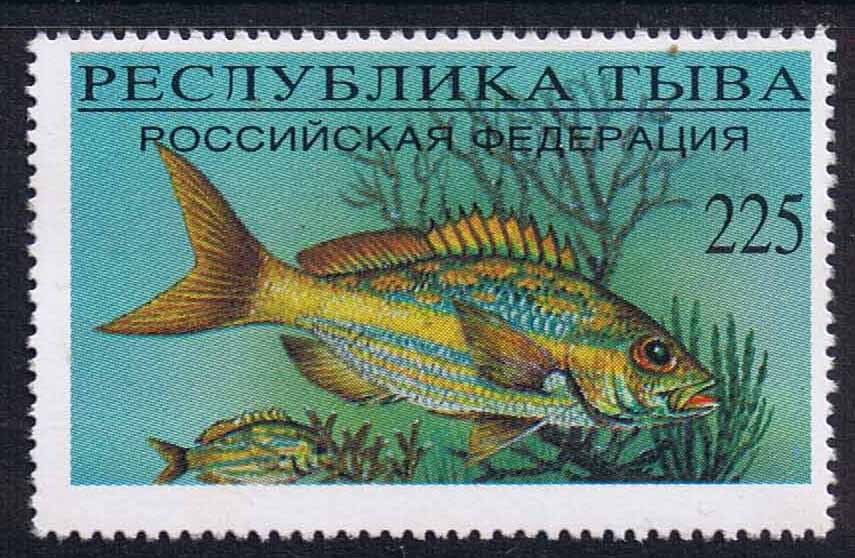Fish.

Click here to see the full set.
