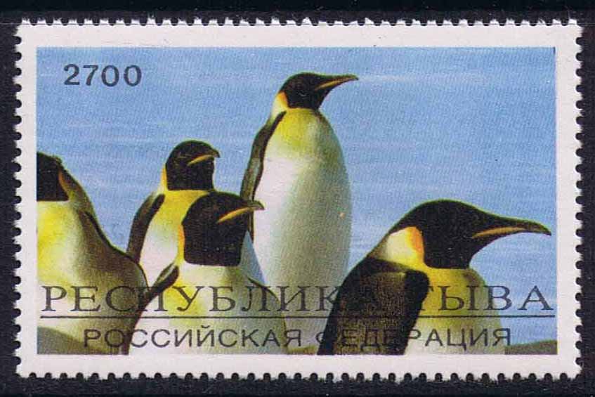 Penguins.

Click here to see the full set.