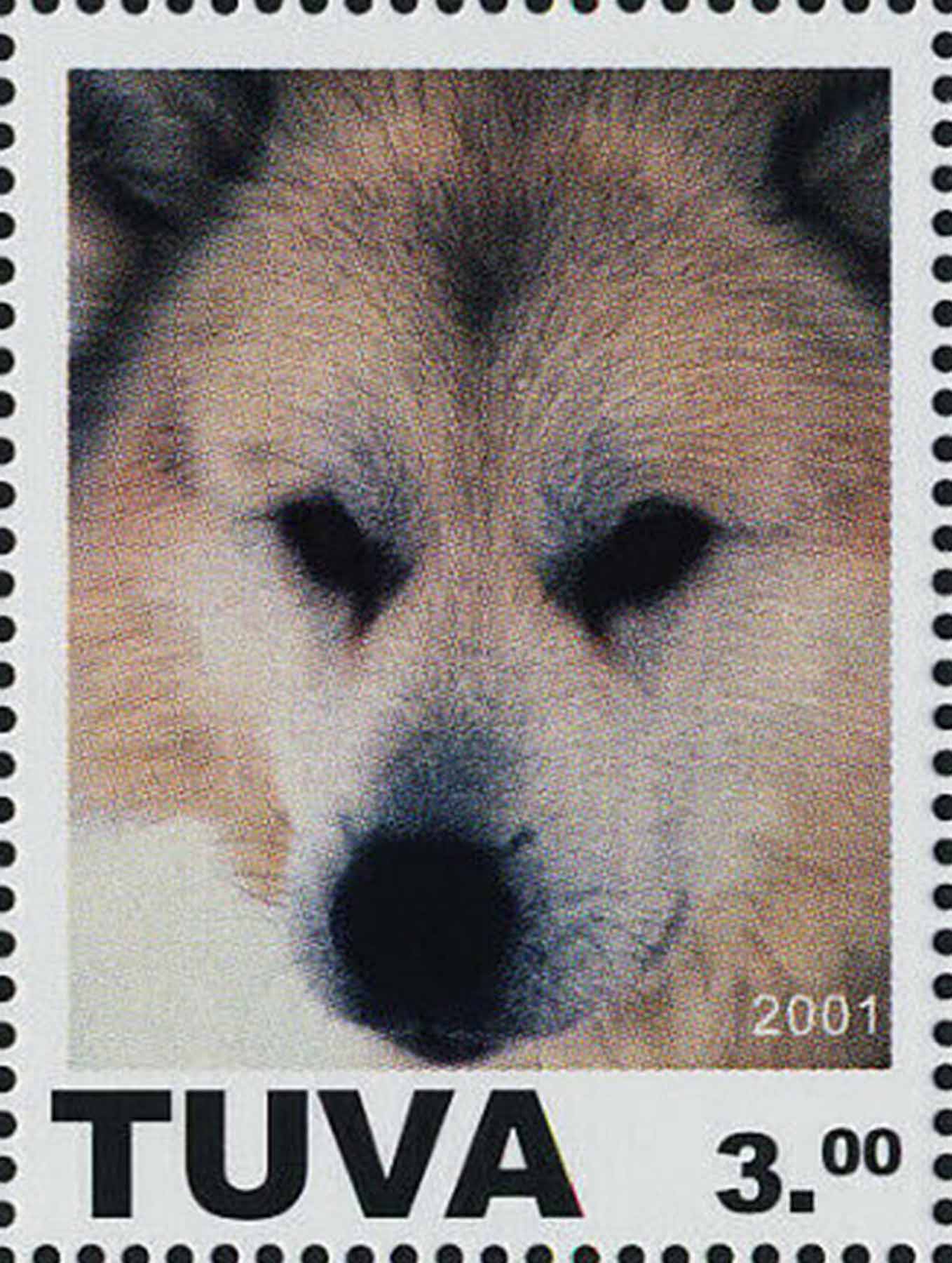 Dogs.

Click this stamp to see the set.