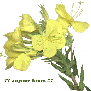 [ ?? what is it  ?? ]