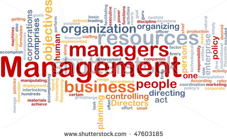 The business management Icon