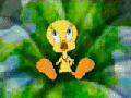 CLIP 1