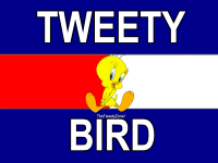 TOMMY Tweety Design