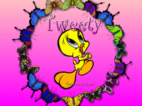 Butterfly design