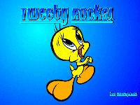 Tweety Rocks!