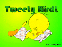 Sleeping Tweety