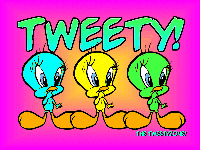 Colorful Tweety Design