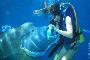 Wally and a scuba diver