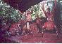 The Pamagirri Aboriginal Dancers - Karunda