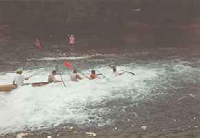91_Jr_Water_Safari_C5_Going_Down.jpg