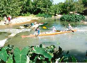 96_TWS_Cottonseed_Rapids_Deviney_McKay_Youens.jpg