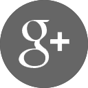 Google+ Icon